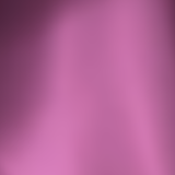 orchid-030
